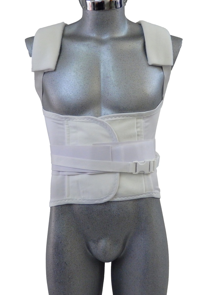 Faja dorso lumbar