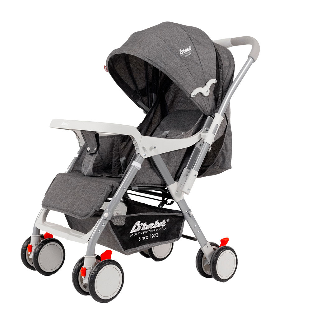 Carriola Reversible BABY BM Gris