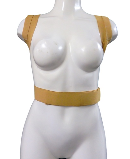 [736-CH] SOPORTE DE POSTURA