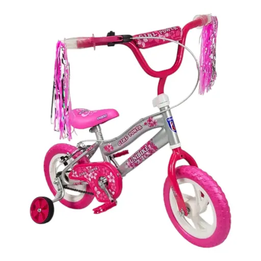 [R12-GOMA-POWER] BICICLETA  RODADA 12 POWER